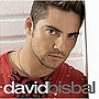  ダビッド・ビスバル/ダビッド･ビスバル〜太陽の季節でDMMアフィリエイトツール