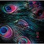  清春/SINGLESでDMMアフィリエイトツール