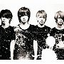  Plastic Tree/リプレイ/DollyでDMMアフィリエイトツール