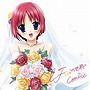 IF:この世界で/CooRie
