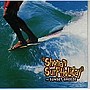  湘南サーフ・ホリデイ〜サンセット・ブリーズでDMMアフィリエイトツール