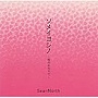  ソメイヨシノ〜桜の木の下で〜でDMMアフィリエイトツール