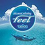  フィール・ヴォイスでDMMアフィリエイトツール