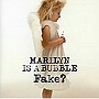  FAKE？/MARILYN IS A BUBBLEでDMMアフィリエイトツール
