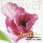  フォーエバーあの頃のメロディー「卒業写真」「ルビーの指環」でDMMアフィリエイトツール