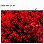People In The Box/Ghost Apple