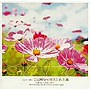 ジャズで聴く吉田美和・中村正人作品集でDMMアフィリエイトツール