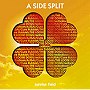 redballoon/ルーズドッグス/AJISAI/Cure Rubbish/A SIDE SPLIT Vol.4〜sunrise field〜でDMMアフィリエイトツール
