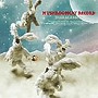  SHAKA LABBITS/MUSHROOMCAT RECORDでDMMアフィリエイトツール
