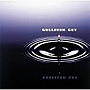  GULLIVER GET/はちみつの水槽でDMMアフィリエイトツール