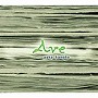  金子飛鳥/Ave