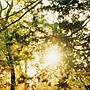 Autumnleaf/still have nothing to be sureでDMMアフィリエイトツール