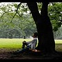  shinji/ありふれた時間でDMMアフィリエイトツール