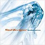  ソウル・デザイナー/エヴォリューショニズムでDMMアフィリエイトツール