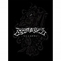 ヌンチャク/Nunchaku Archives〜もうふぶかない〜（DVD付）