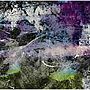  9mm Parabellum Bullet/Discommunication e.p.でDMMアフィリエイトツール