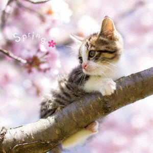 まるごと!春-Spring-