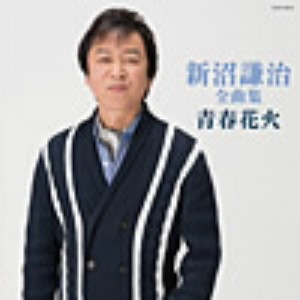 新沼謙治/新沼謙治全曲集 青春花火