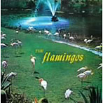 【クリックで詳細表示】フラミンゴス/コンプリート・チェス・マスターズ
