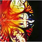 【クリックで詳細表示】sgt./stylus Fantasticus