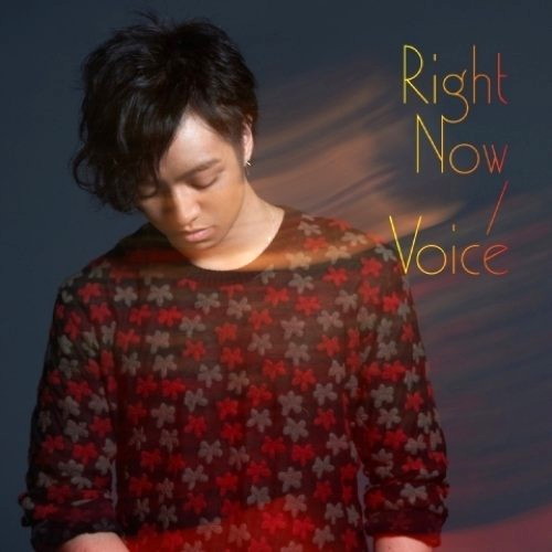 三浦大知/Right Now/Voice