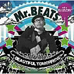 【クリックで詳細表示】Mr.BEATS a.k.a. DJ CELORY/BEAUTIFUL TOMORROW