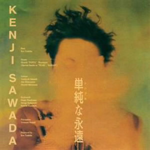 沢田研二/単純な永遠