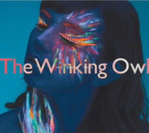 Winking Owl/Into Another World