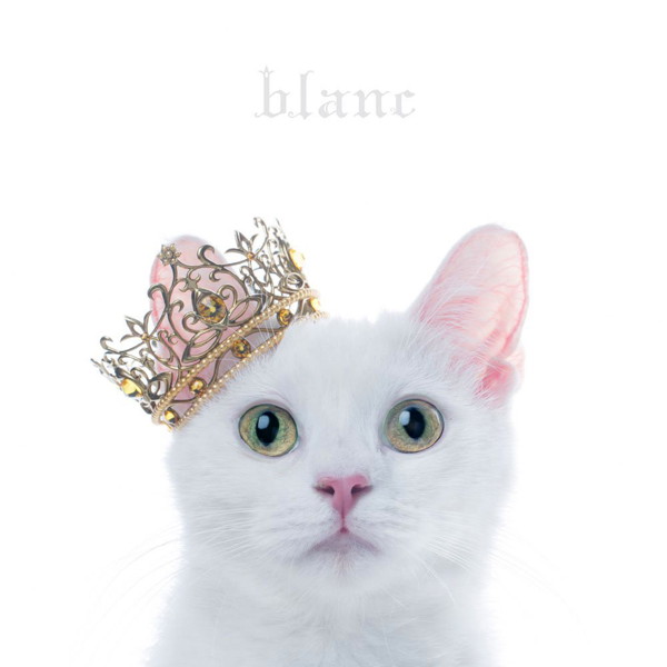 Aimer/BEST SELECTION ‘blanc’
