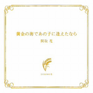 関取花/黄金の海であの子に逢えたなら