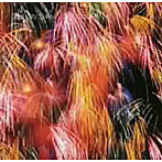 【クリックでお店のこの商品のページへ】ジャズシティシリーズ ディジジャズジャパン