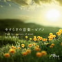 リン・ハイ/やすらぎの音楽～ピアノ