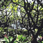 【クリックでお店のこの商品のページへ】ヤススキィ/オーディオホログラム