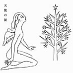 【クリックで詳細表示】天使の涙～The Silent Piano Collection