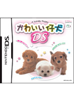 ���킢���e��DS