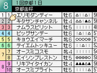 �����ӡ������ꥪ��DS No.6