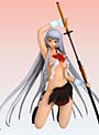  一騎当千 Dragon Destiny 趙雲子龍 〜制服ダメージVer.〜でDMMアフィリエイトツール