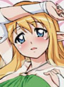 ゼロの使い魔 三美姫の輪舞 ティファニア 抱き枕カバー