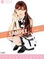 【予約】小嶋陽菜 2012AKB48メンバーズカレンダー ポスタータイプ