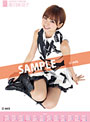 【新作】篠田麻里子 2012AKB48メンバーズカレンダー ポスタータイプ