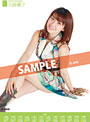 【新作】大島優子 2012AKB48メンバーズカレンダー ポスタータイプ