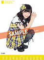 【新作】島崎遥香 2012AKB48メンバーズカレンダー ポスタータイプ