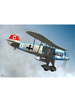 1/48 ハインケル He-51ドイツ空軍