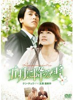 五月に降る雪 DVD-BOX1　ドラマ