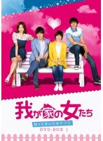 我が家の女たち～甘くて苦い恋のサプリ～ DVD-BOX4　ドラマ