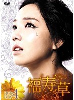 福寿草 DVD-BOX4　ドラマ