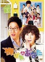 棚ぼたのあなた DVD-BOX3　ドラマ