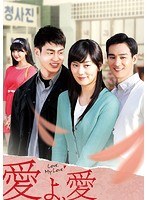 愛よ、愛 DVD-BOX8　ドラマ