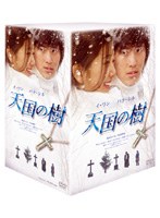 天国の樹 DVD-BOX　ドラマ