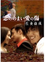 恋のめまい愛の傷 ～烈愛傷痕～ [2枚組 DVD-BOX]　ドラマ